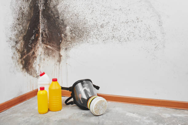 Best Crawl Space Mold Removal  in Ogden, KS