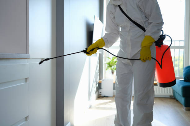 Best Mold Remediation Experts  in Ogden, KS