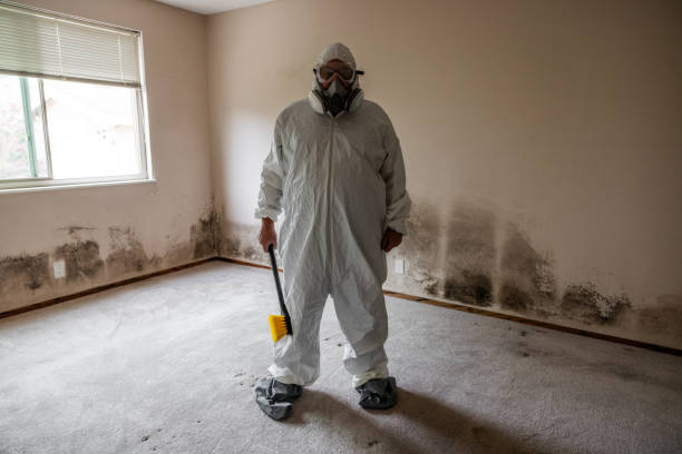 Best Office Mold Removal Services  in Ogden, KS